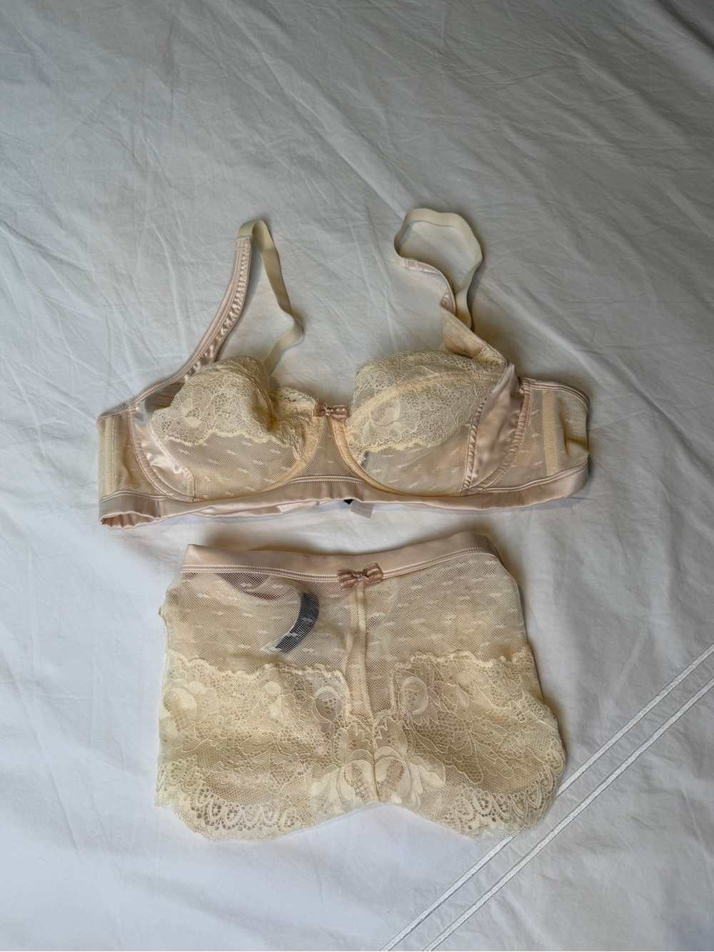 Adore Me Pale Cream Lace Underwire Bra & High-Waist Brief Set